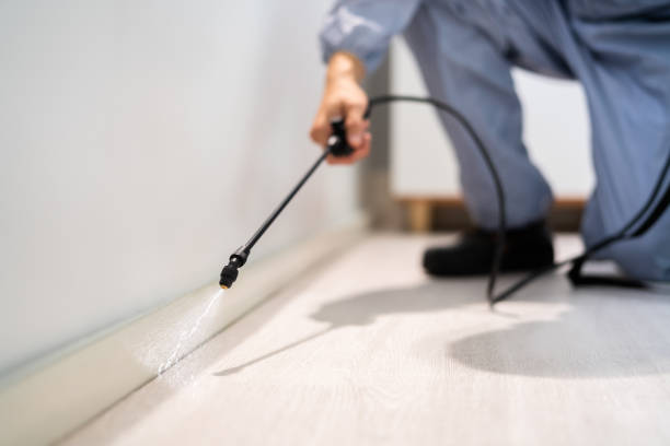Licensed Fumigation Services service in Ridgebury, CT - Nex Pest Control