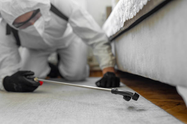 Professional Fumigation Services technician working in Ridgebury, CT