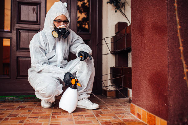 Reliable Fumigation Services contractor in Ridgebury, CT by Nex Pest Control