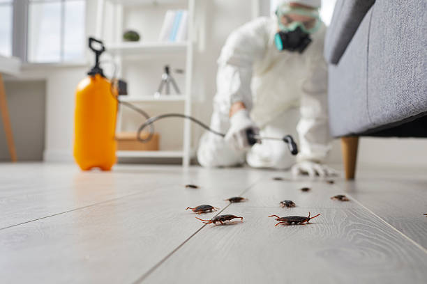 Trusted Cockroach Control service in Ridgebury, CT - Nex Pest Control