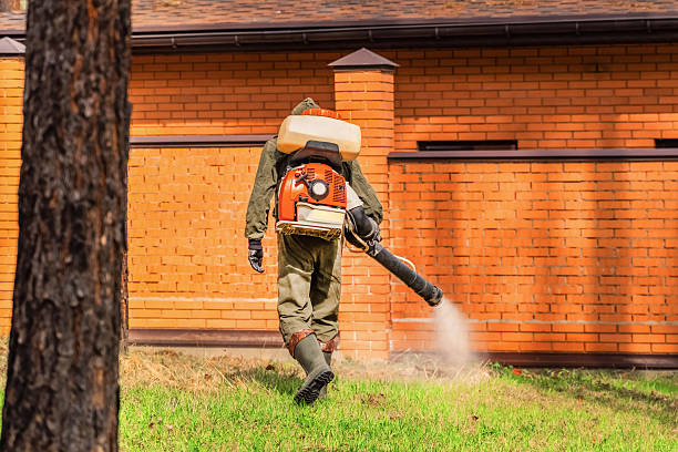 Trusted Rodent Control service in Ridgebury, CT - Nex Pest Control